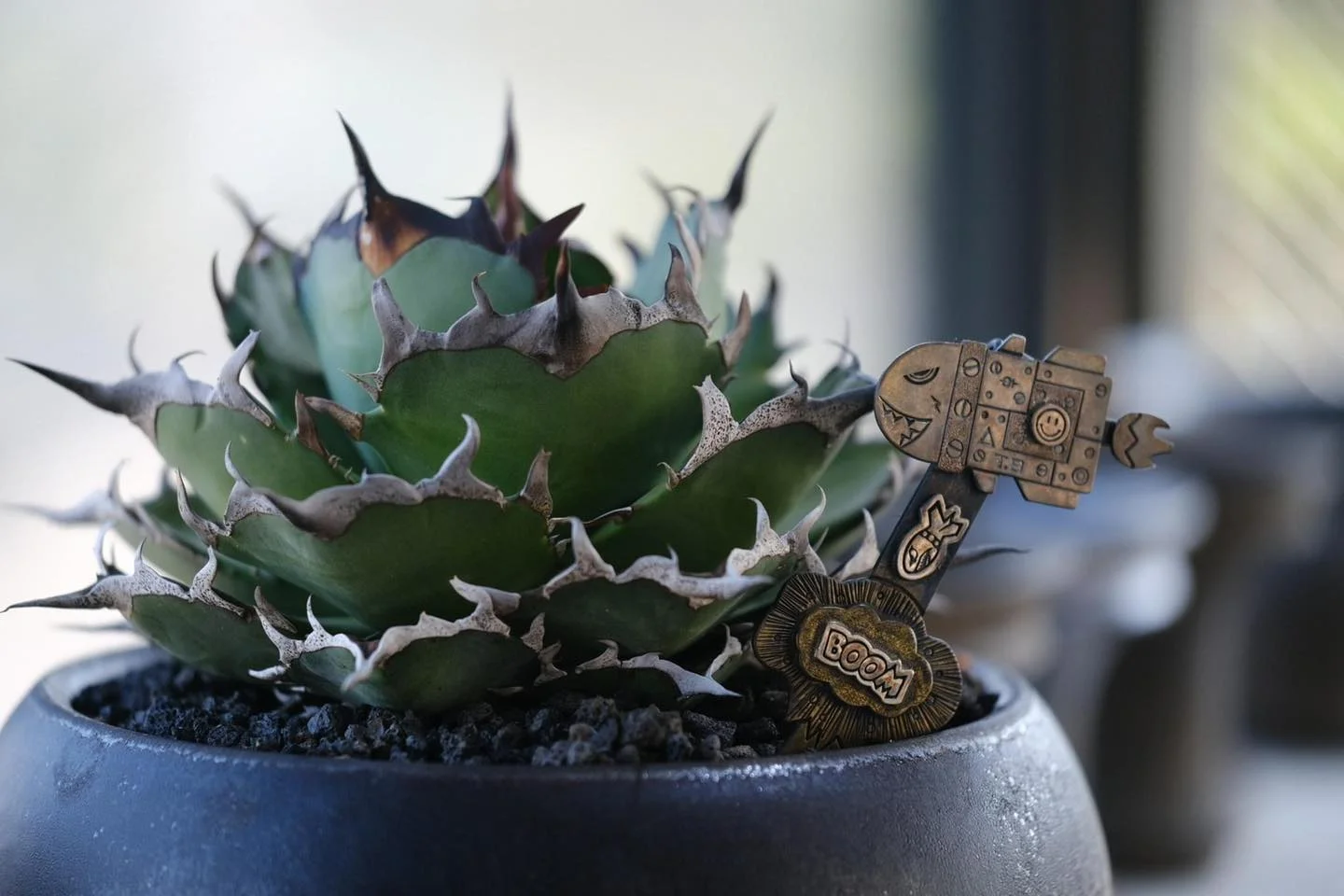 CJ-1｜CJ Series｜C.J.PLANTS